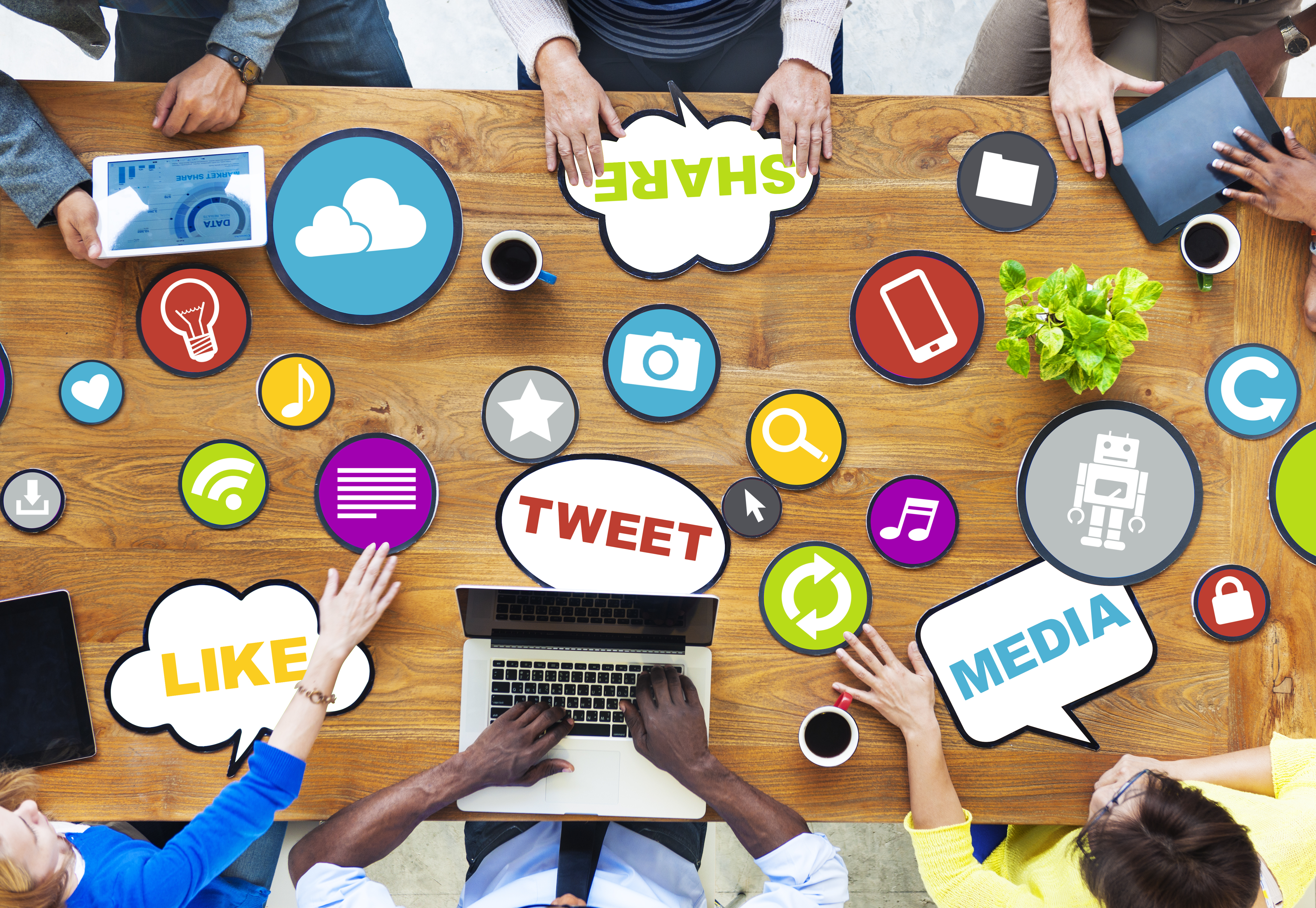 Image display different types of Social Media components like: Tweets, Likes, Media, etc